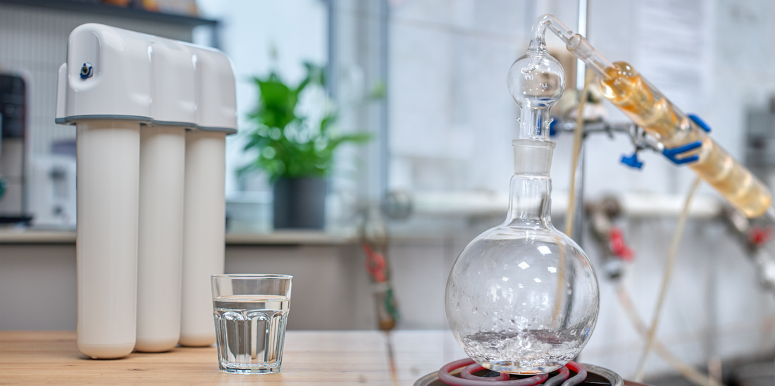 Purified vs. distilled water: the key differences