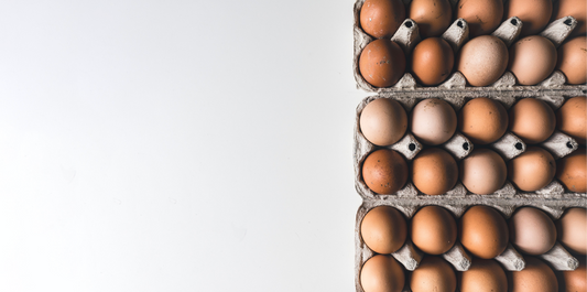 PFAS contamination hits home: from backyard eggs to your drinking water
